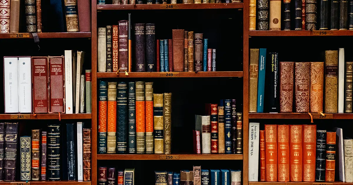 An extensive collection of books neatly arranged on a spacious bookshelf